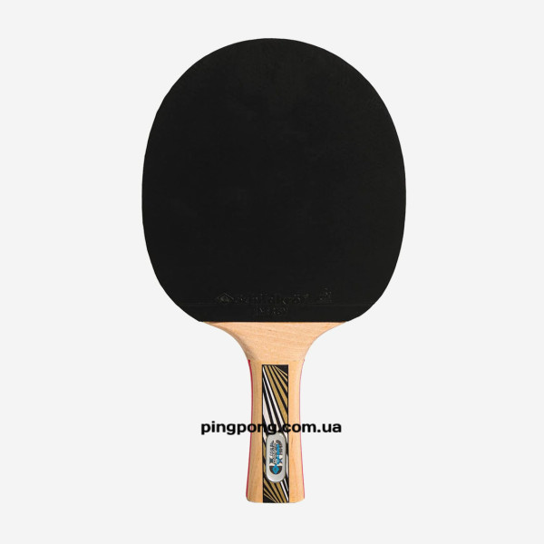 Набір для настільного тенісу Donic Schildkrot Legends Premium Line 754431